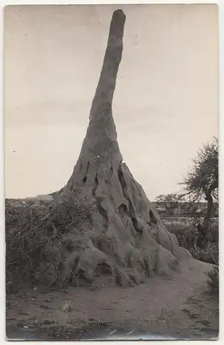Foto Ak Termitenhügel Windhuk Südwestafrika deutsche Kolonie DSW um 1910 !