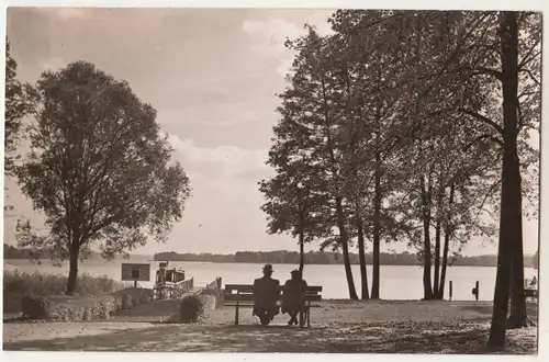 Echtfoto Ak Bad Saarow Pieskow Schwanenwlese um 1950 frühe DDR