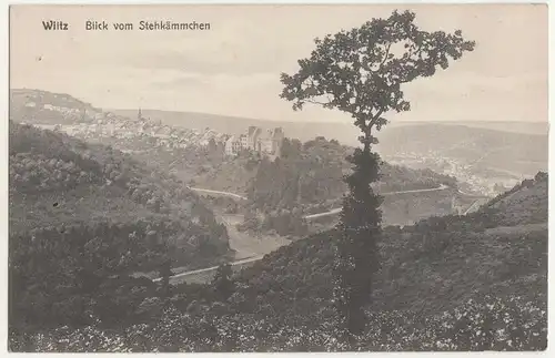 Ak Wiltz  Wooltz Luxemburg Blick vom Stehkämmchen um 1915