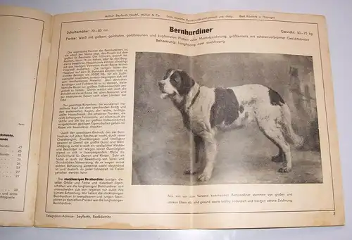 Katalog edler Rassehunde Arthur Seyfarth Bad Köstritz 1958 frühe DDR !