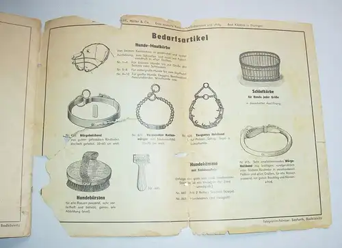 Katalog edler Rassehunde Arthur Seyfarth Bad Köstritz 1958 frühe DDR !