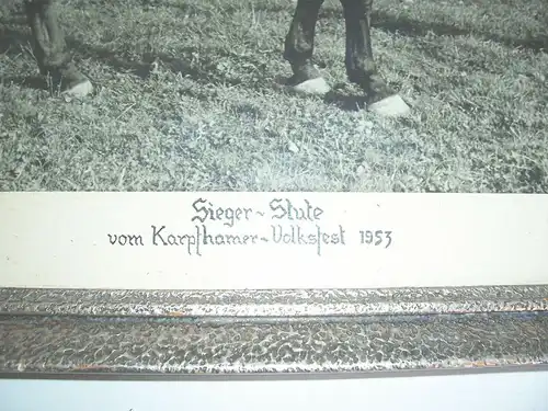 Signiertes Foto Sieger Stute Karpfhamer Volksfest 1953 Zuchtstute im Rahmen !