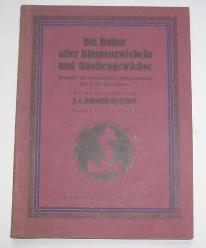 Die Kultur aller Blumenzwiebeln und Knollengewächse 1925 Schmidt Erfurt