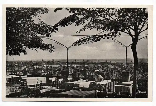 Ak Foto Bergwirtschaft Trachauer Höhen Trachau Dresden