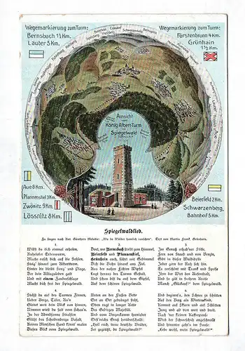 Ak Assicht vom König Albert Turm im Spiegelwald 