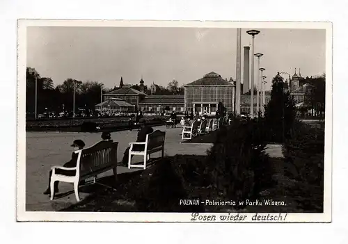 Ak Foto Poznan Polen Posen Palmiarnia w Parku Wilsona Palmenhaus Feldpost 1940
