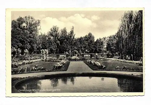 Ak Foto Landsberg Warthe Im Rosengarten Polen