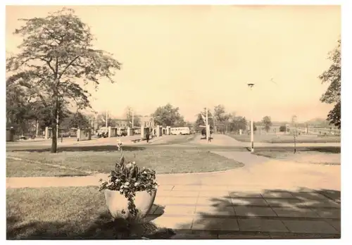 Ak Dessau Am Omnisbus Bahnhof 1967 