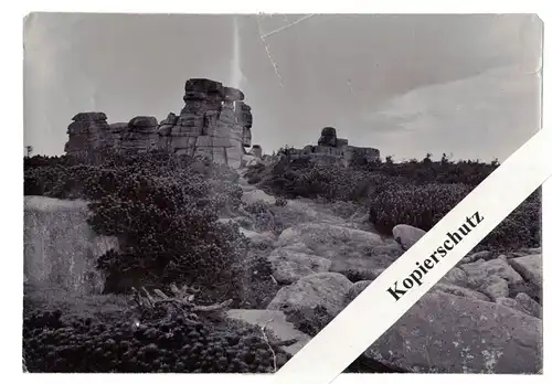 Foto Pferdesteine Gebirgskamm Riesengebirge Schlesien um 1900 Polen Vintage