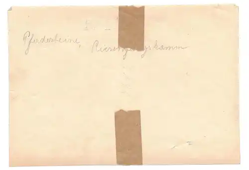 Foto Pferdesteine Gebirgskamm Riesengebirge Schlesien um 1900 Polen Vintage
