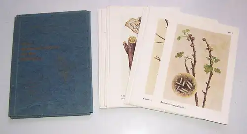 Merkblätter Sammelmappe III Feinde unserer Kulturpflanzen & ihre Bekämpfung