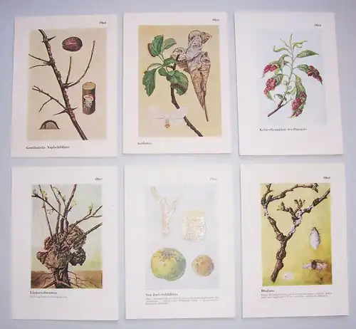 Merkblätter Sammelmappe III Feinde unserer Kulturpflanzen & ihre Bekämpfung