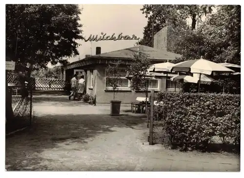 Ak Ostseebad Zingst Darß Milchbar 1965