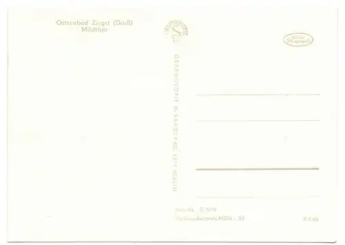 Ak Ostseebad Zingst Darß Milchbar 1965 