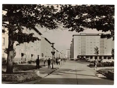 Ak Hoyerswerda Neustadt Bert Brecht Straße 1967