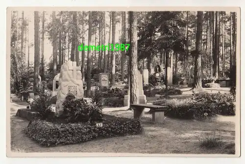 Foto Ak Waldfriedhof Haida Böhmen Nový Bor Gräber um 1930 ! (A2480