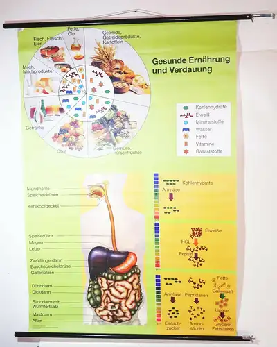 Vintage Rollkarte gesunde Ernährung und Verdauung Lehrkarte Wandtafel 1996 Hagem