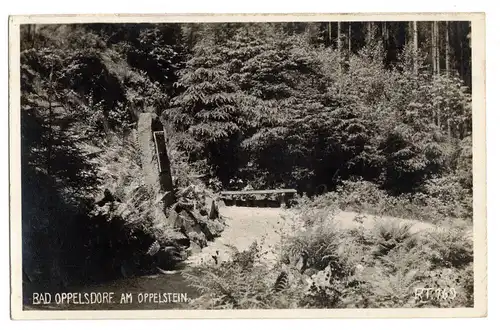 Foto Ak Bad Oppelsdorf Am Oppelstein Schlesien 1934
