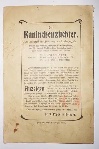 Das Silberkaninchen Anleitung & Winke zur Aufzucht & Verwendung 1903 Berthold !