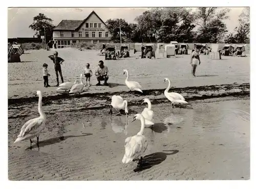 Ak Ostseebad Boltenhagen 1974 Am Strand