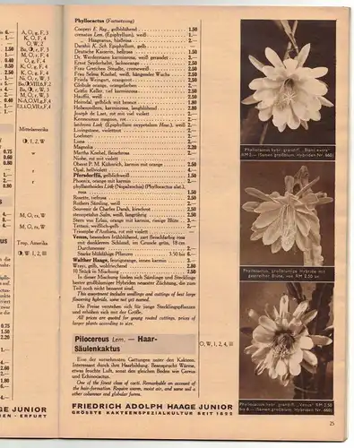 Katalog Kakteen Haage Blumenstadt Erfurt 1935 Kaktus