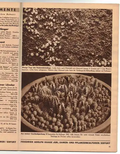 Katalog Kakteen Haage Blumenstadt Erfurt 1935 Kaktus 