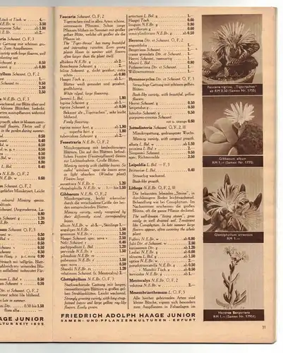 Katalog Kakteen Haage Blumenstadt Erfurt 1935 Kaktus