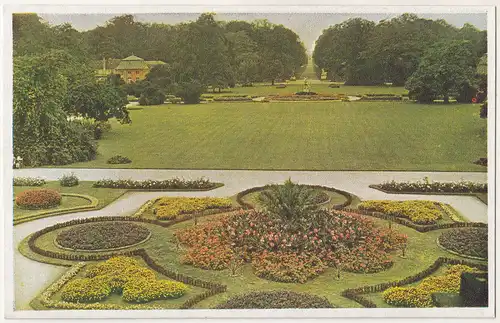 Ak Dresden Hauptansicht im grossen Garten Druckfarbenfoto Nr. 196 um 1950 (A3161