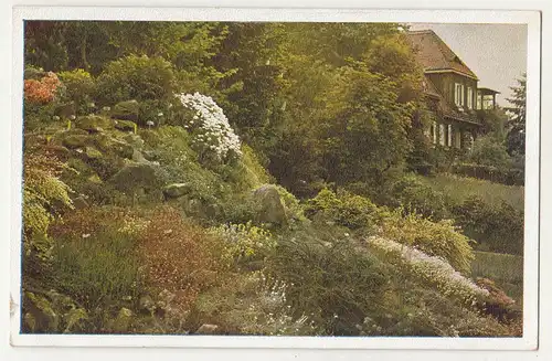 Ak Steingarten Druckfarbenfoto Serie 6 Nr. 12 um 1940/50 (A3156