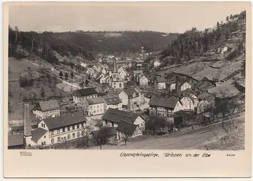 Ak Hahn 3628 Elbsandsteingebirge Krippen an der Elbe 1959 !