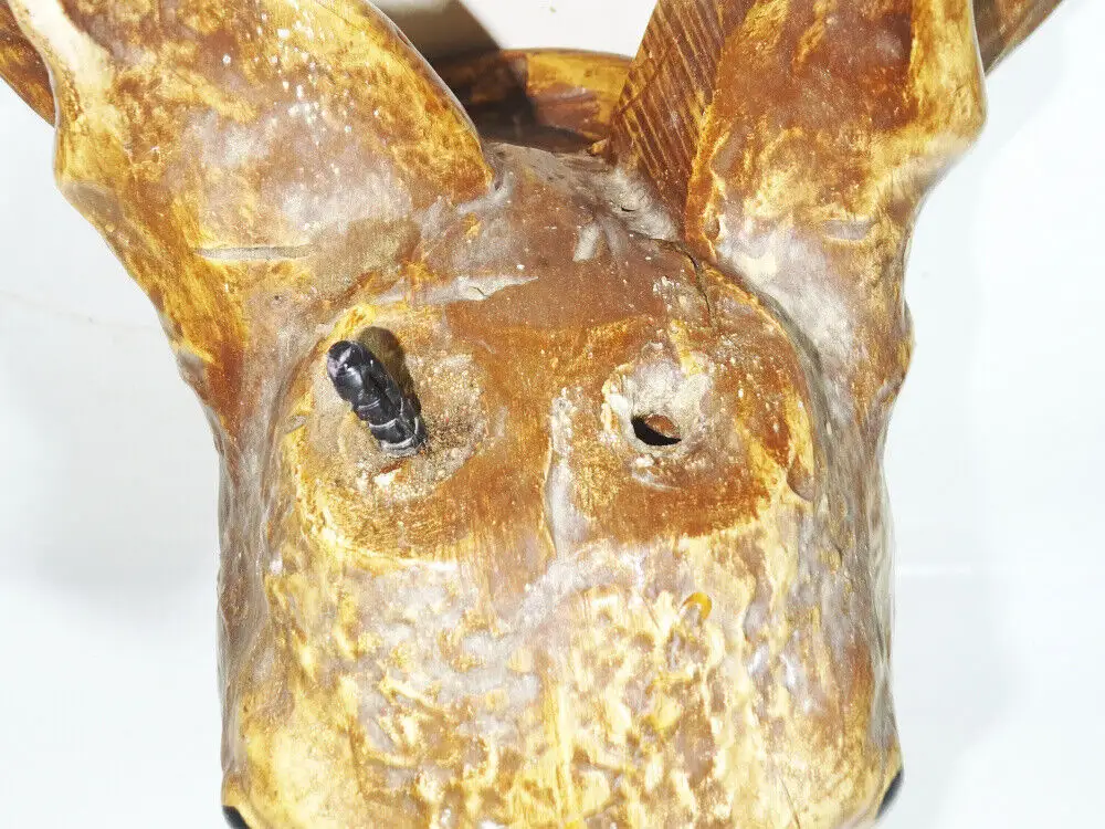 Uralte Jagdtrophäe Rehbock um 1900 wohl Gips Modelliermasse 3