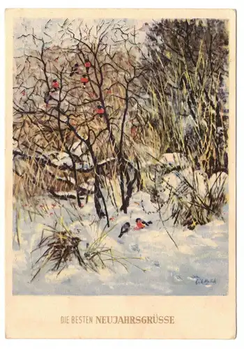 Mailick Ak Vögel im Winter 1953 Postreiter Drucke Koepper Halle