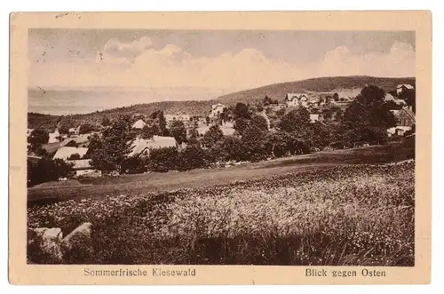 Ak Sommerfrische Kiesewald Blick gegen Osten Petersdorf Riesengebirge 1927