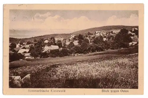 Ak Sommerfrische Kiesewald Blick gegen Osten Petersdorf Riesengebirge 1927 