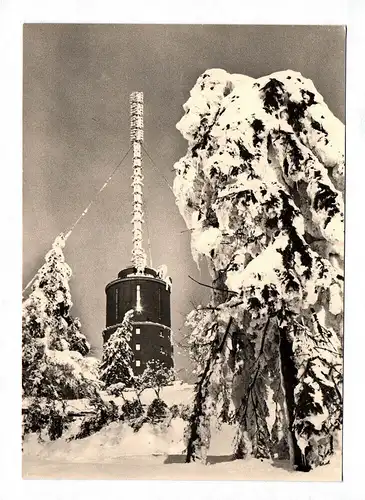 Echtfoto Ansichtskarte Auf dem Großen Inselberg Foto Postkarte Thüringen Brotter