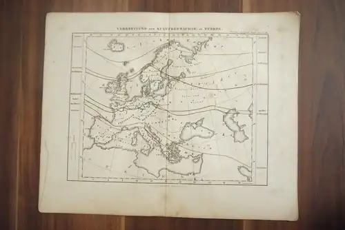 Landkarte Verbreitung der Kulturgewächse in Europa 33x25 Gotha Justus Perthes