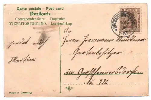 Fröhliche Weihnachten Ak Vögel im Winter 1909 