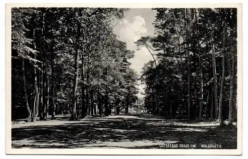 Postkarte Ostseebad Graal i M Waldpartie 1930er