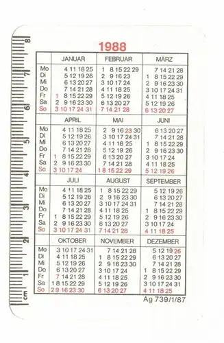 Taschenkalender Dynamo Dresden 1988 DDR