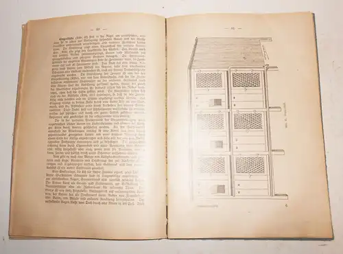 Nutzkaninchenzucht Bungartz Band 7 Verlag Scherl Berlin um 1935 (B3