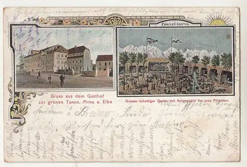 Litho Ak  Gruss aus dem Gasthof zur grünen Tanne Pirna Elbe 1906   A3619