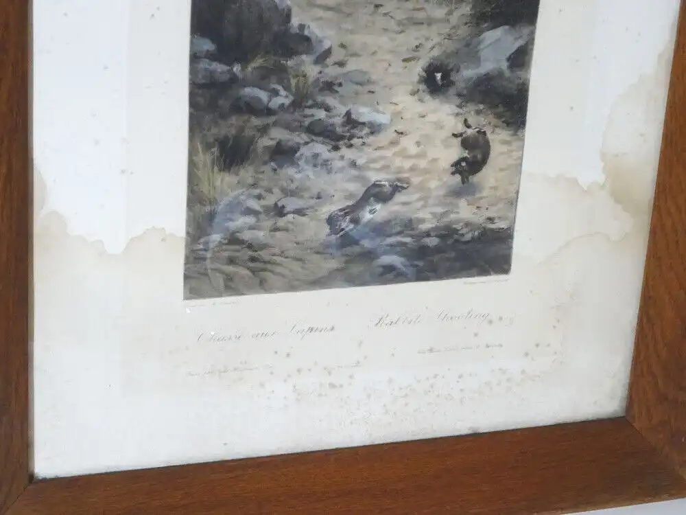 Drucke Jagdszene M Moisand um 1900 Fishel Adler Schwartz New York Print Paar Set 11