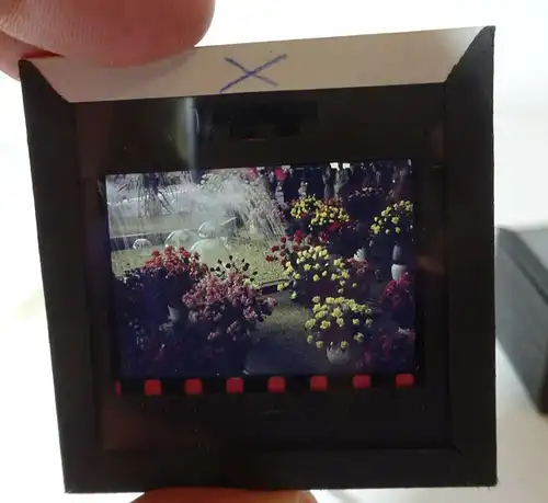 20 Glasdias Farbdia Erfurt Kirche IGA Straßenbahn DDR um 1950er 60er