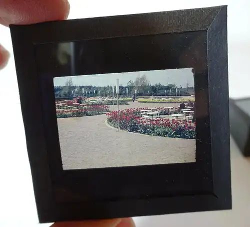 20 Glasdias Farbdia Erfurt Kirche IGA Straßenbahn DDR um 1950er 60er