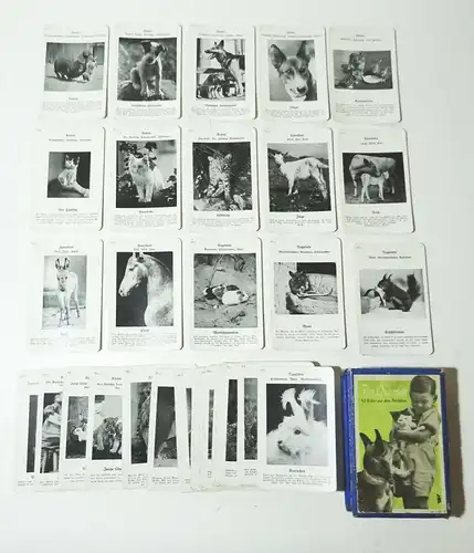 Tier Quartett 48 Bilder aus dem Tierleben Jos. Scholz Mainz Nr 4981 Kartenspiel