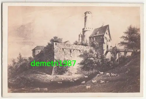 CdV Foto Ruine zu Altenburg um 1870 ! (F1668