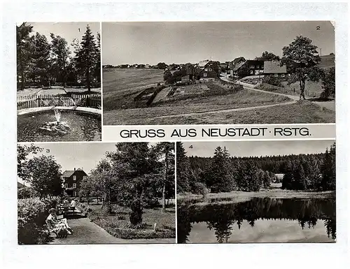 Ak Gruß aus Neustadt Rensteig DDR 1985 Kr Ilmenau Park Teilansicht Höllteich