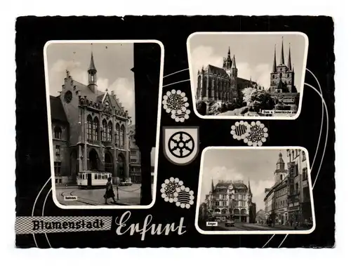 Ak Blumenstadt Erfurt Rathaus Dom und Severikirche Anger Foto DDR