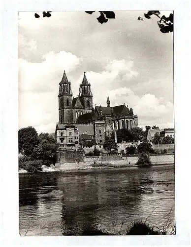 Ak Dom Magdeburg DDR Echtfoto