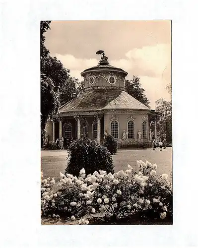 Ak Foto Chinesisches Teehaus Sanssouci Potsdam DDR 1966